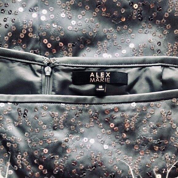 Alex Marie Sequin Britt Skirt - Picture 6 of 7